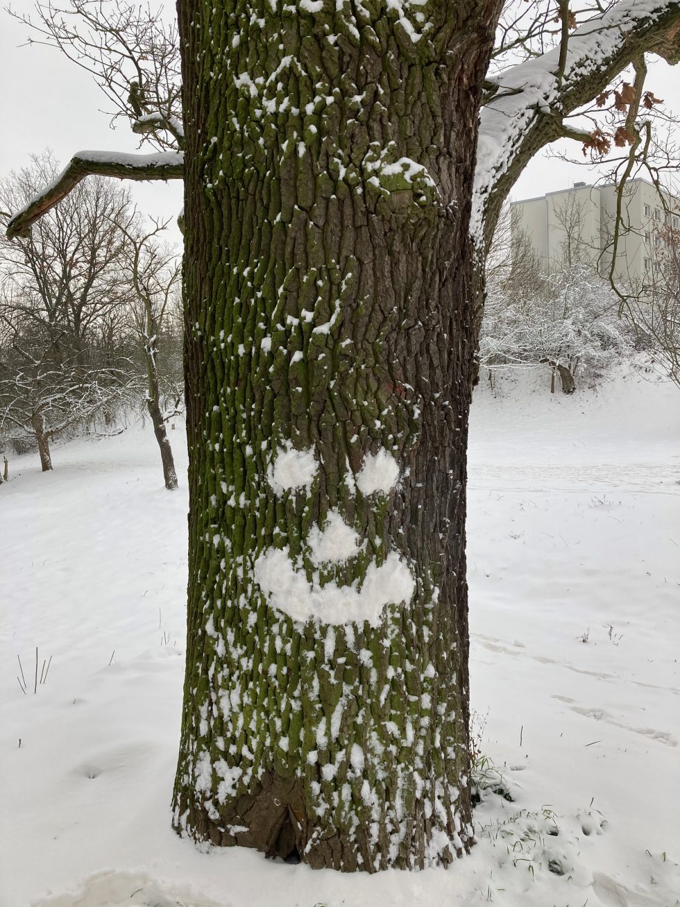 Worship Calendar January 2025 St. Michael's Church