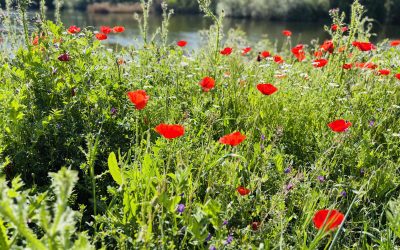 Worship Calendar April – June 2026